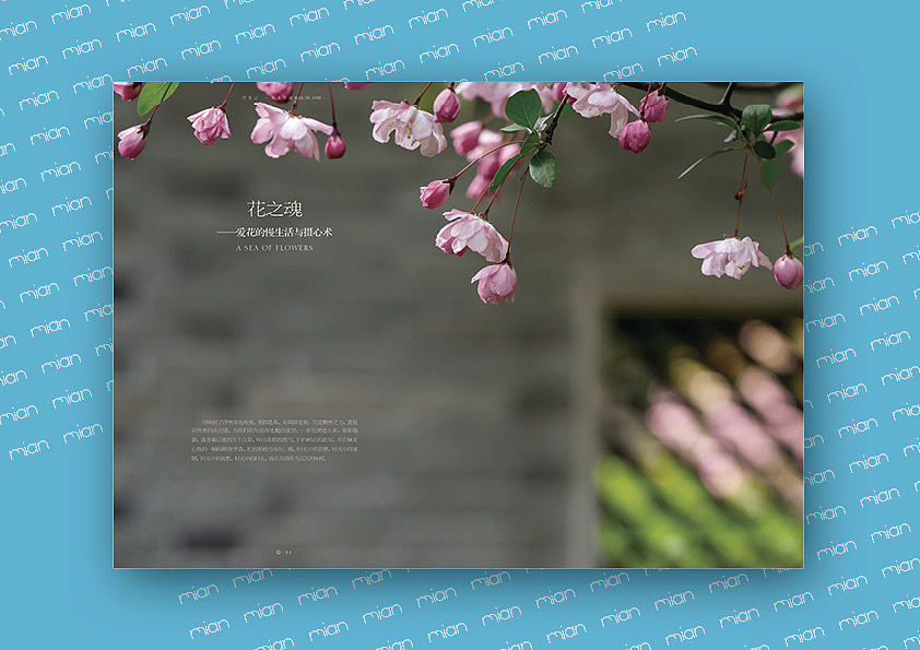 《空實(shí)》（圖ZMTAxODkzODc2） - 書(shū)籍/畫(huà)冊(cè) - 站酷設(shè)計(jì)師冬眠丫原創(chuàng)素材 - 站酷ZCOOL