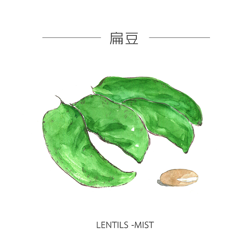 人类食谱-蔬菜（图ZMzY4MDg4OTY=） - 商业插画 - 站酷设计师反派放映原创素材 - 站酷ZCOOL