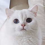 屿夕的头像