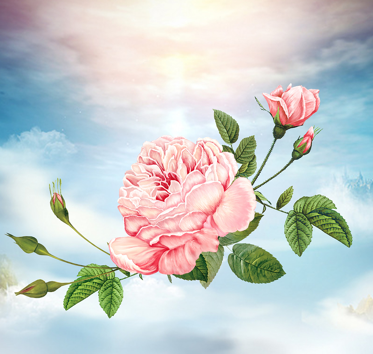 玫瑰插画（图ZMzUxMTkxMzY=） - 商业插画 - 站酷设计师雀羽原创素材 - 站酷ZCOOL