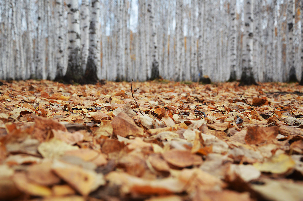 内蒙古2017.9（图ZMTE5Nzg2NjM2） - 风光摄影 - 站酷设计师keke奇遇记原创素材 - 站酷ZCOOL