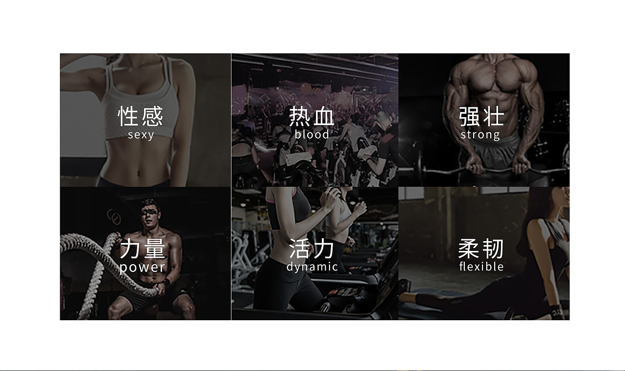 七号健身商业logo设计