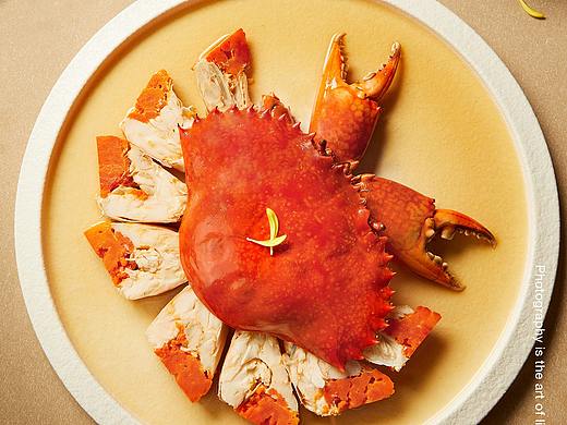 美食摄影 | 食庐×范哲美食视觉