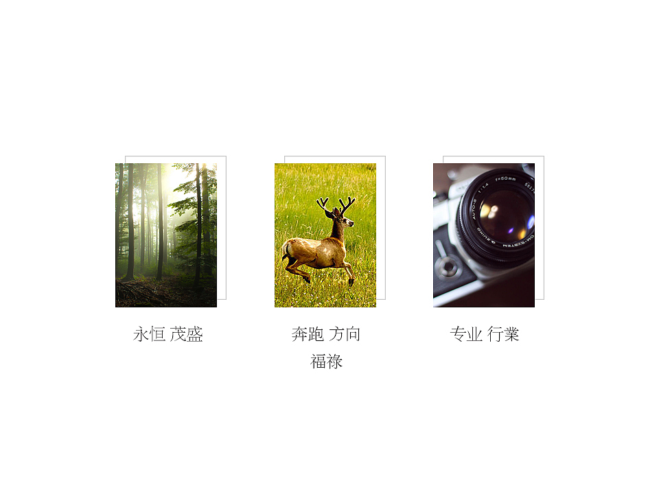 传媒logo（图ZMTI0ODU2MDMy） - 品牌 - 站酷设计师JiaoLoong原创素材 - 站酷ZCOOL