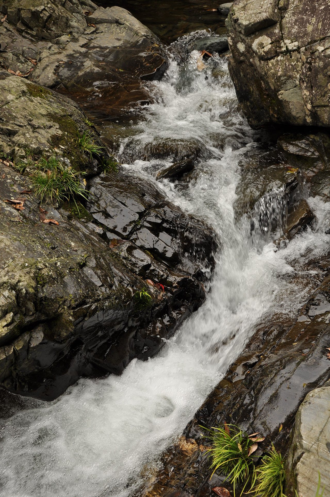 大学摄影随手拍拍（图ZMjUwOTI2MDg=） - 风光摄影 - 站酷设计师传媒摄影人原创素材 - 站酷ZCOOL