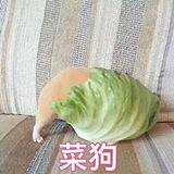 来杯咸柠七的头像
