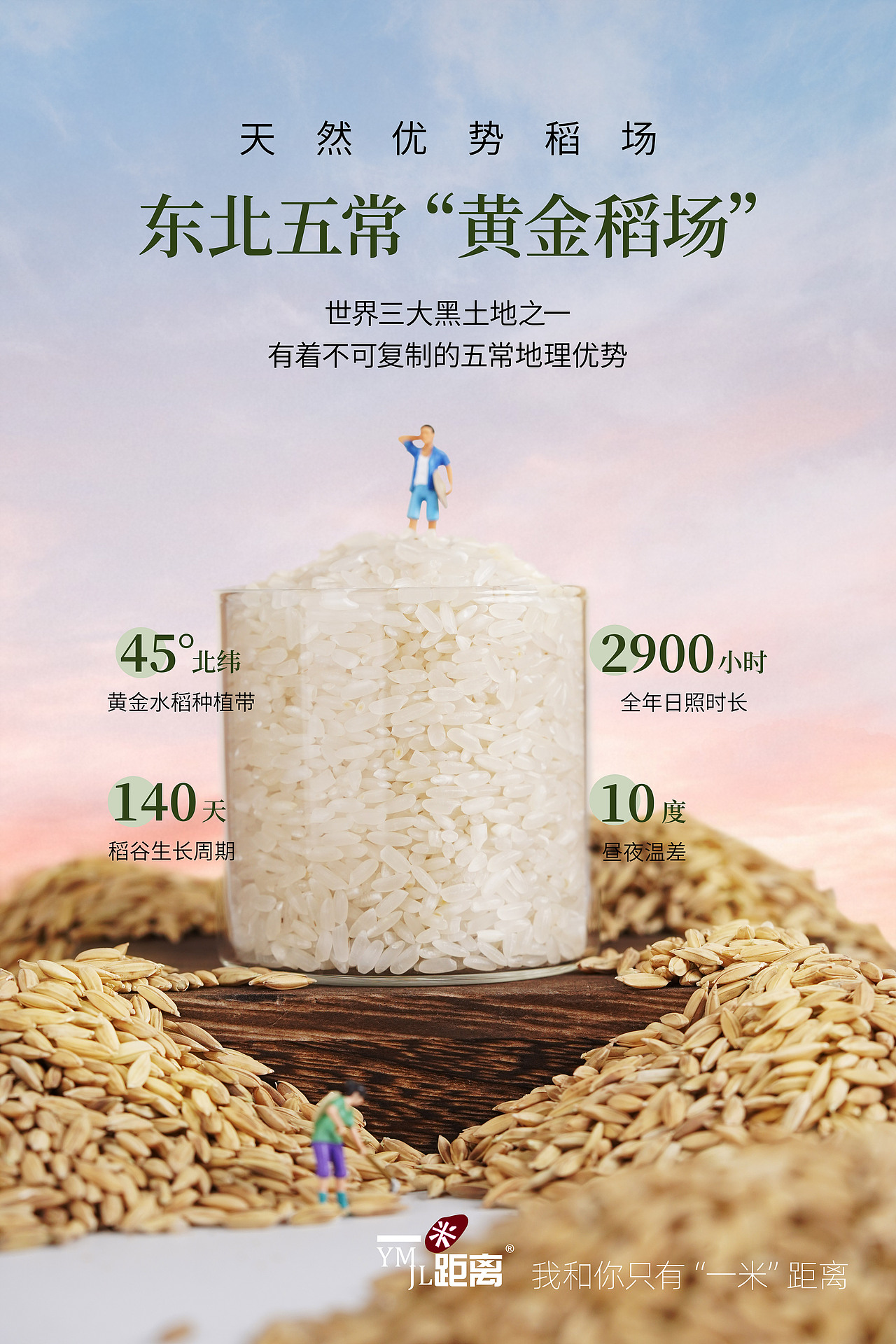 一米距离五常有机大米