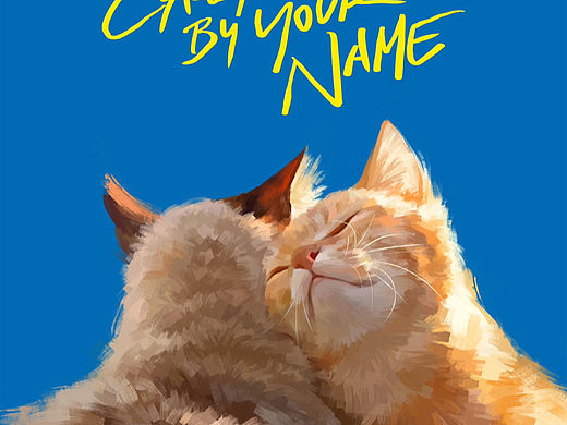 Call me by your name猫猫版
