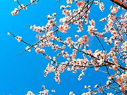 時(shí)光和你都很美-春