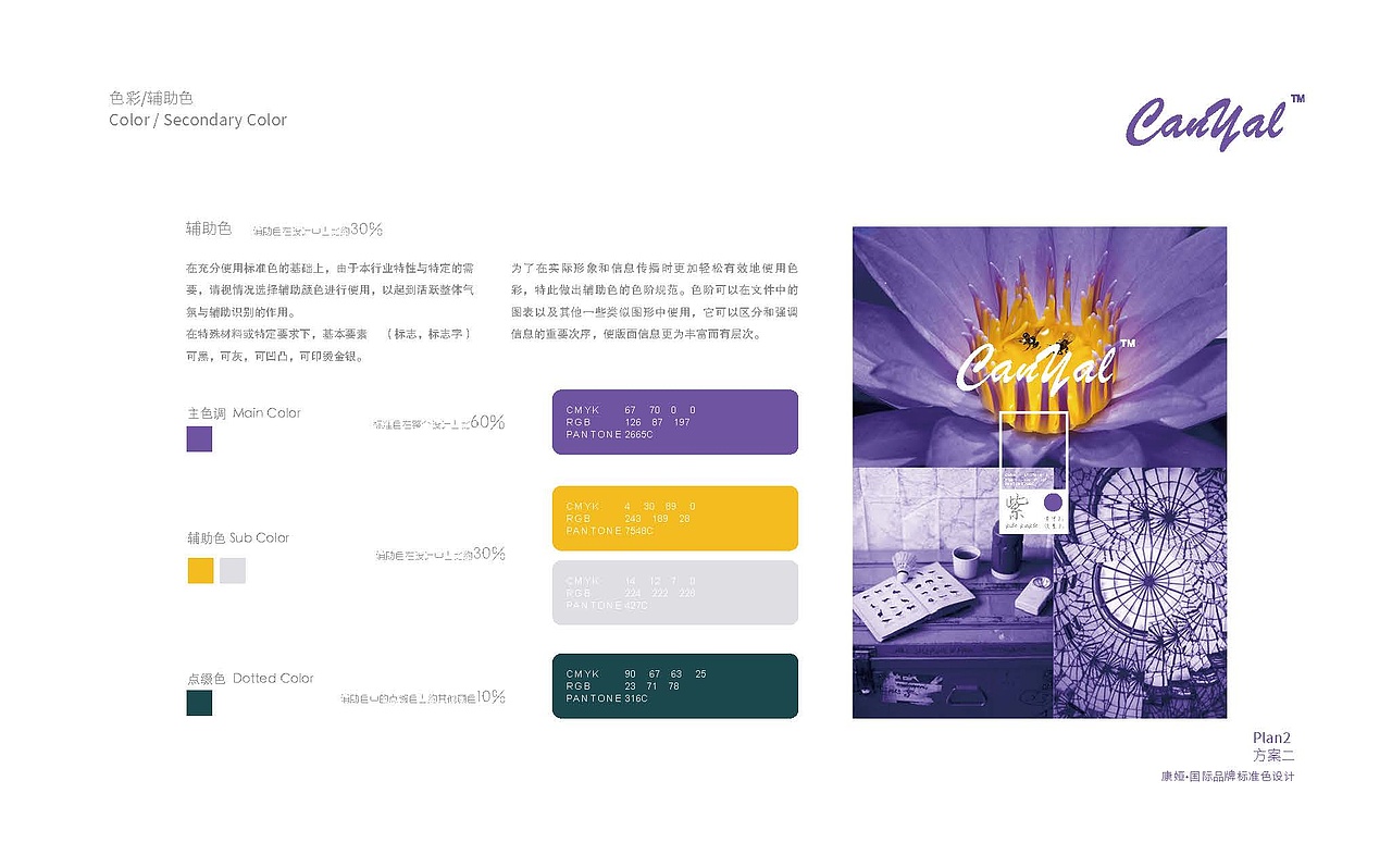 Canyal国际 品牌标准色（图ZMTU2ODQ0MDY4） - 品牌 - 站酷设计师LibraPaul原创素材 - 站酷ZCOOL