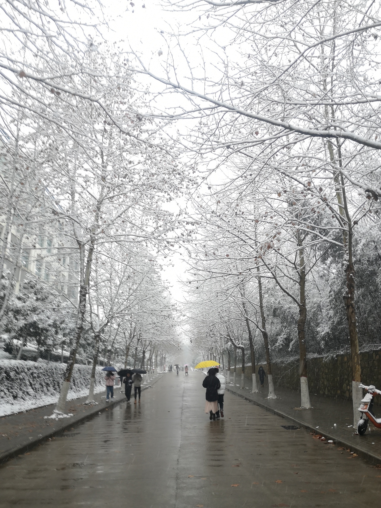 《冬》（图ZMjQxMTI4NDM2） - 风光摄影 - 站酷设计师Noahguo原创素材 - 站酷ZCOOL