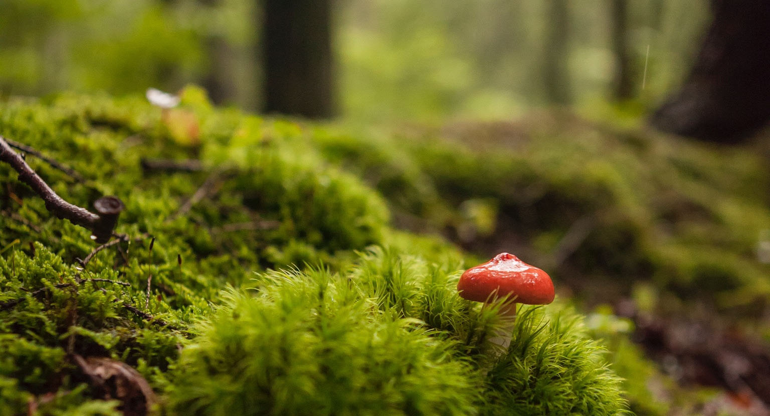 Halo极星的个人主页（背景预览） - 主页背景设置 - 站酷设计师Halo极星原创素材 - 站酷ZCOOL