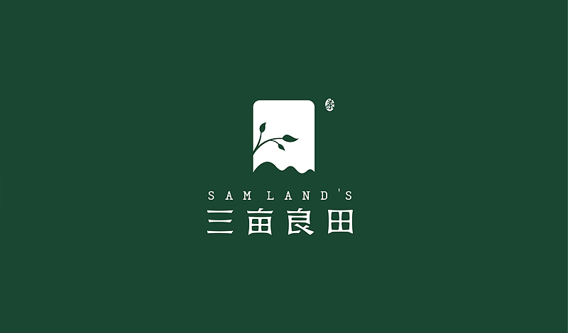 "三亩良田"logo设计飞机案例