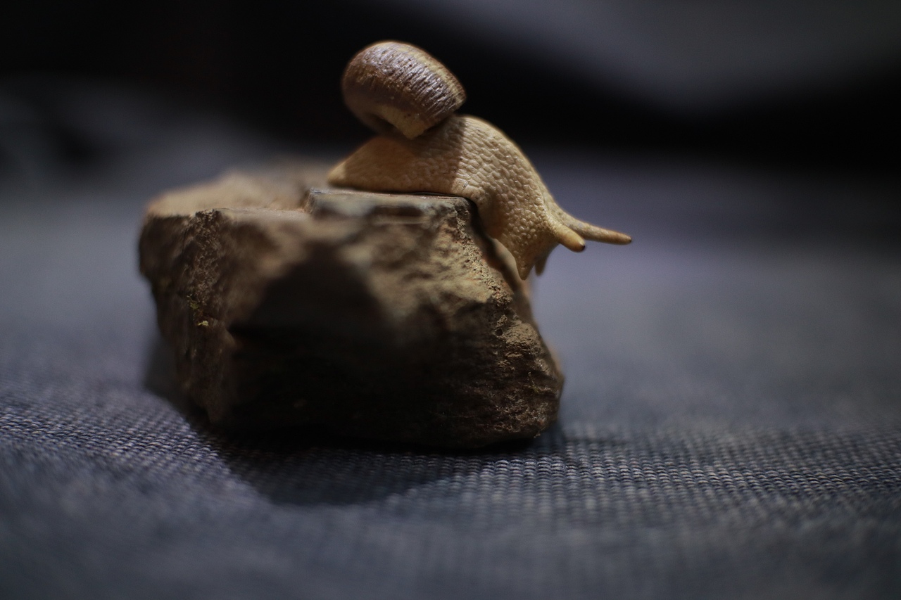 [z加油]（圖ZMTIxMzMzMDg0） - 其他手工藝 - 站酷設(shè)計(jì)師樂亦123原創(chuàng)素材 - 站酷ZCOOL