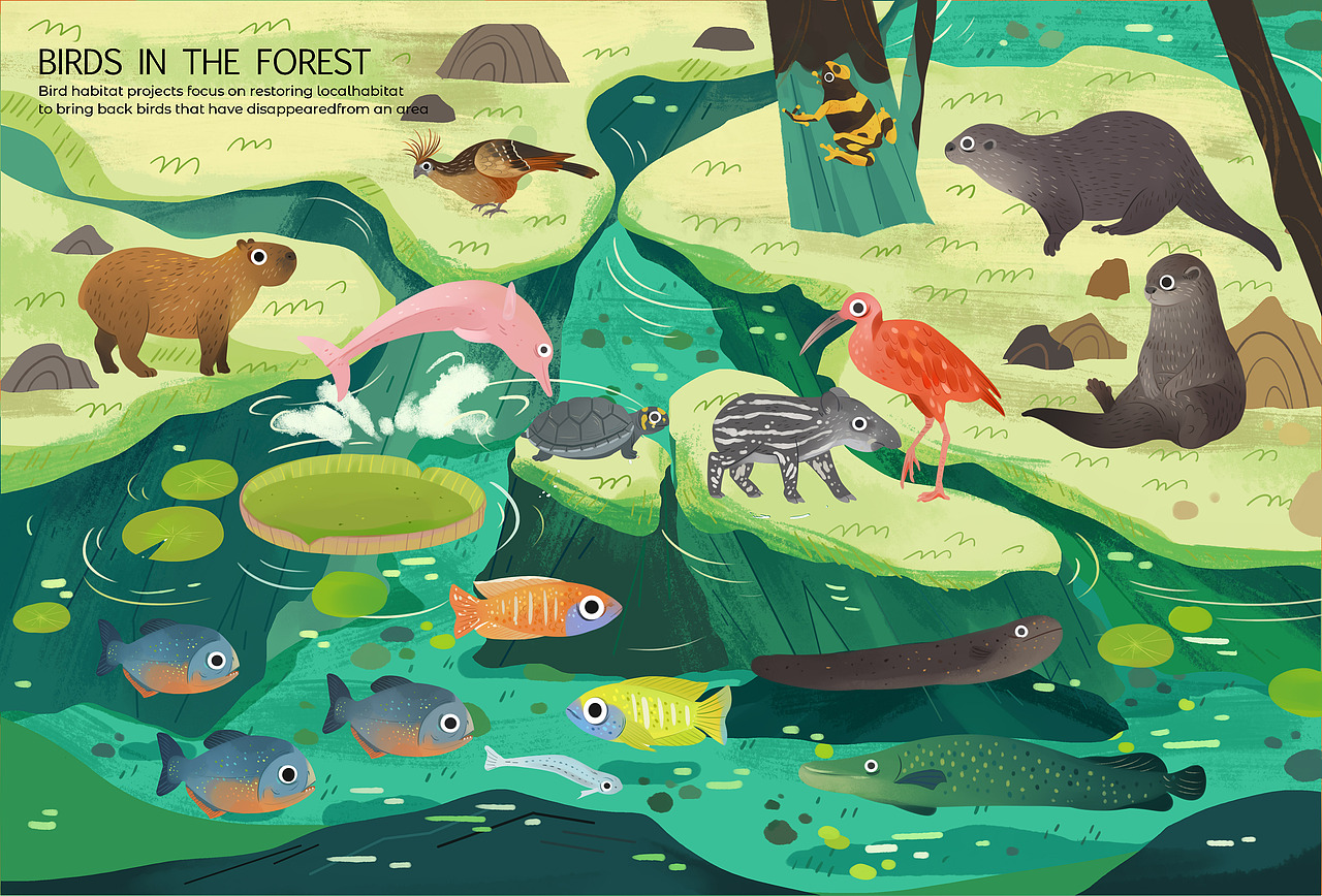 站酷十年,画出了21本书