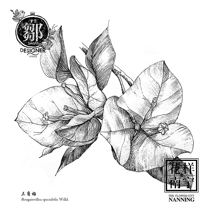 花卉插画及邮折设计（图ZNTE5MTE4MzY=） - 商业插画 - 站酷设计师鄒慶原创素材 - 站酷ZCOOL