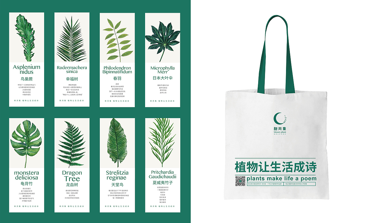 新月集 植物 品牌形象设计（图ZMTc4NDE3NzY0） - 品牌 - 站酷设计师XY2016原创素材 - 站酷ZCOOL