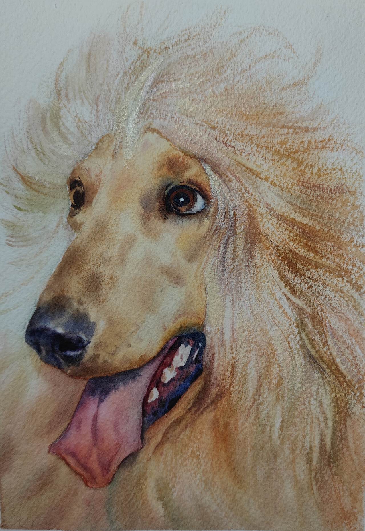 水彩狗头系列2
