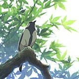 鱼月oceangrey的头像