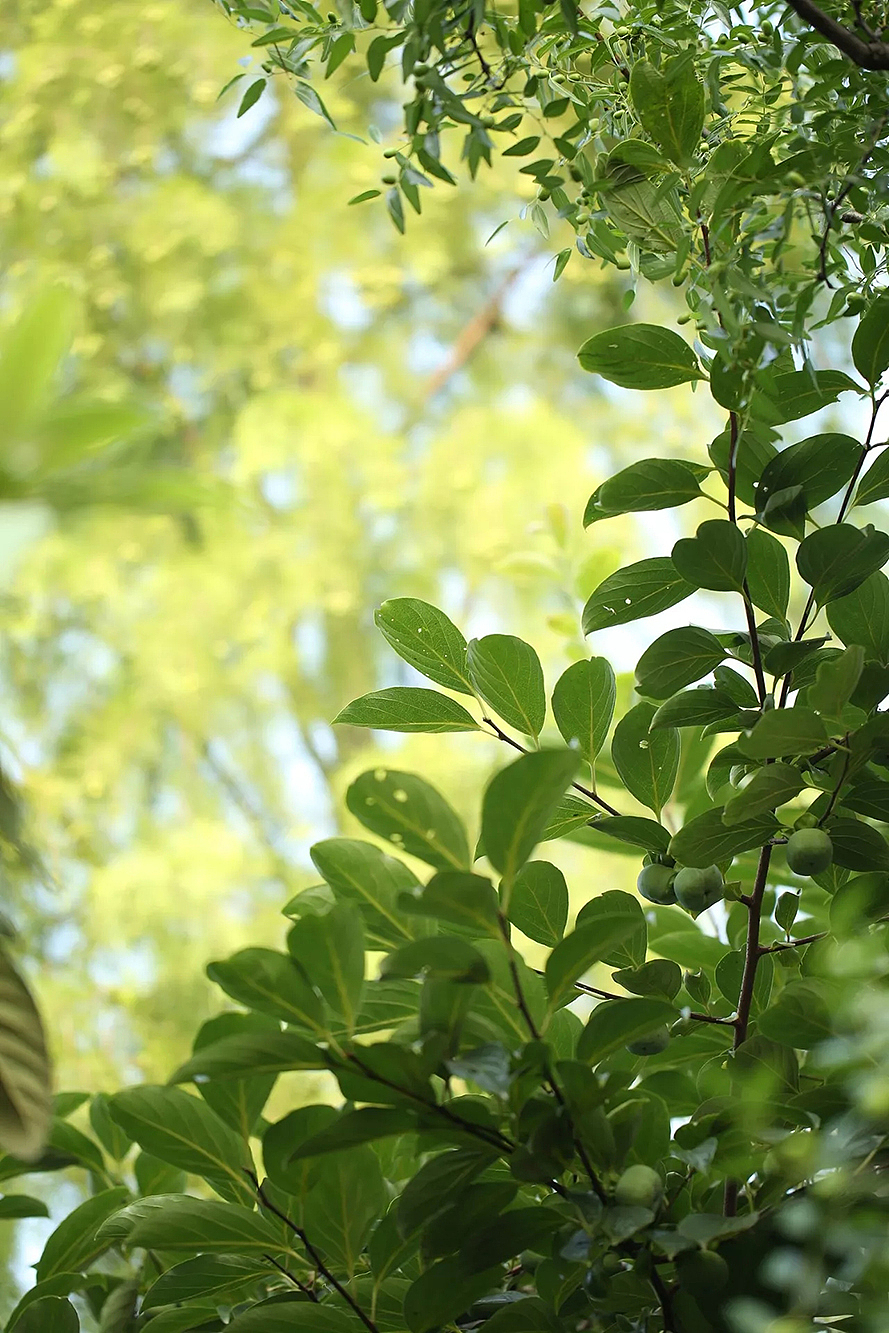 海报设计（图ZMTUwMDI5MzE2） - 海报 - 站酷设计师未来视野设计原创素材 - 站酷ZCOOL