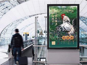 昭源红·天麻火腿鸡