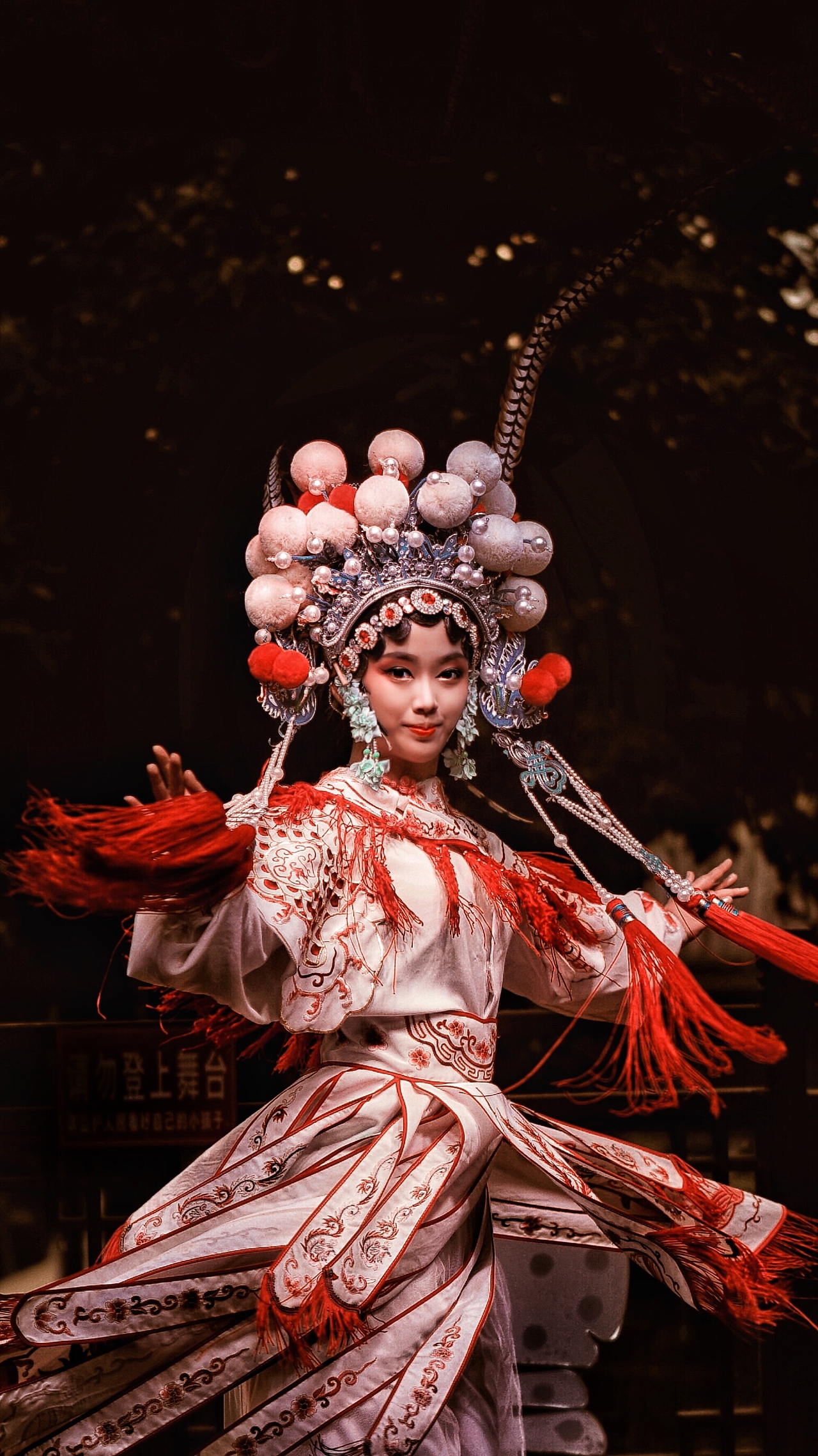 惊鸿（图ZMjcxMzE3Mjg0） - 人像摄影 - 站酷设计师燦0307原创素材 - 站酷ZCOOL