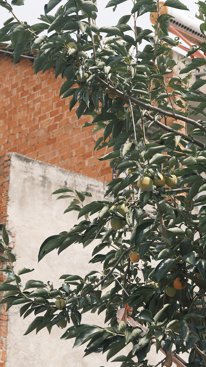 大自然之乡里（图ZMzQ5OTI0ODY0） - 人文/纪实摄影 - 站酷设计师何大抖原创素材 - 站酷ZCOOL