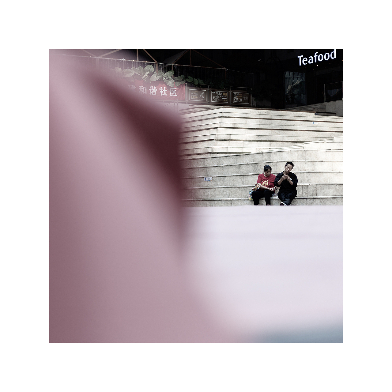 随手拍 | 日常片刻