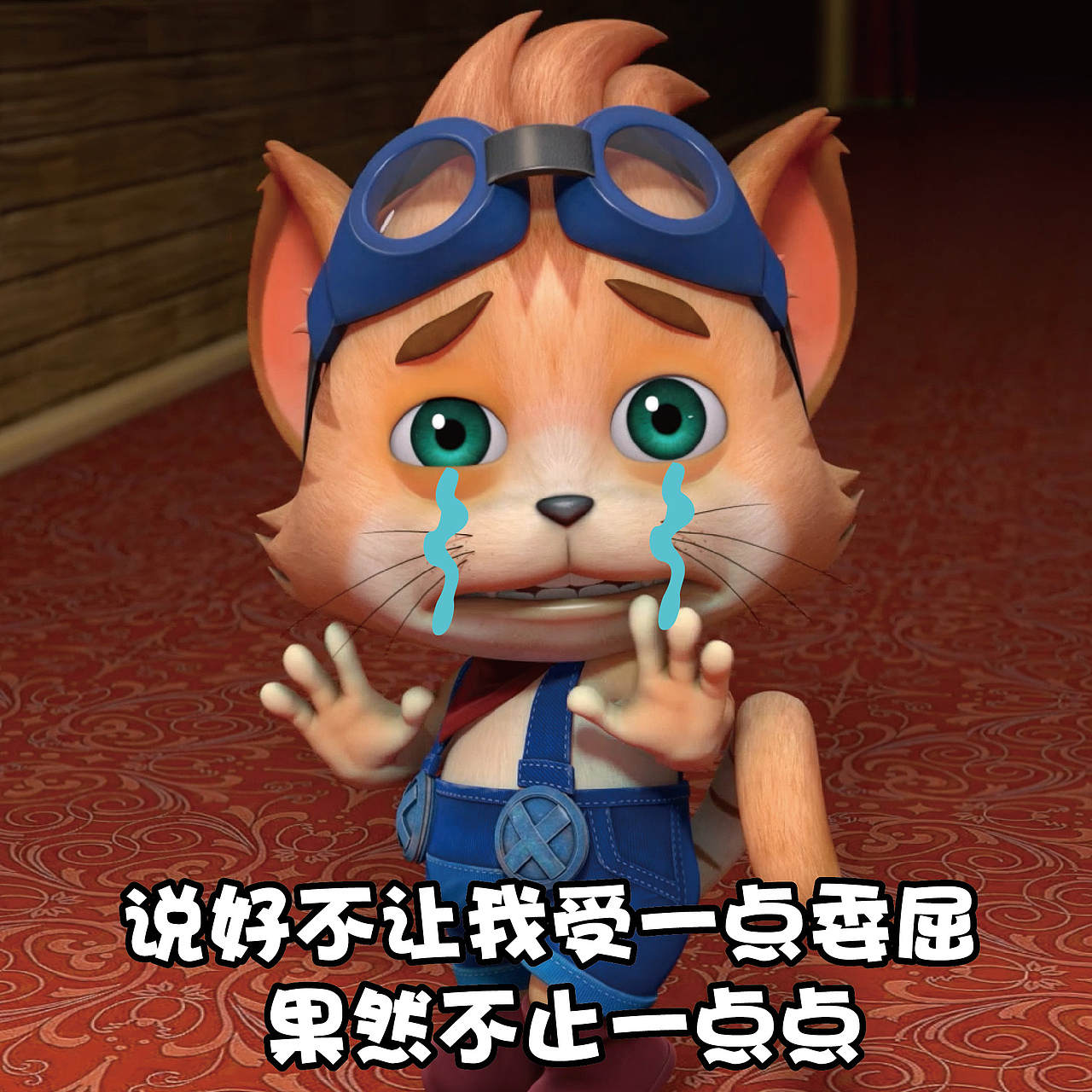 探探猫表情包:我以为我会暴富,但是我没有……