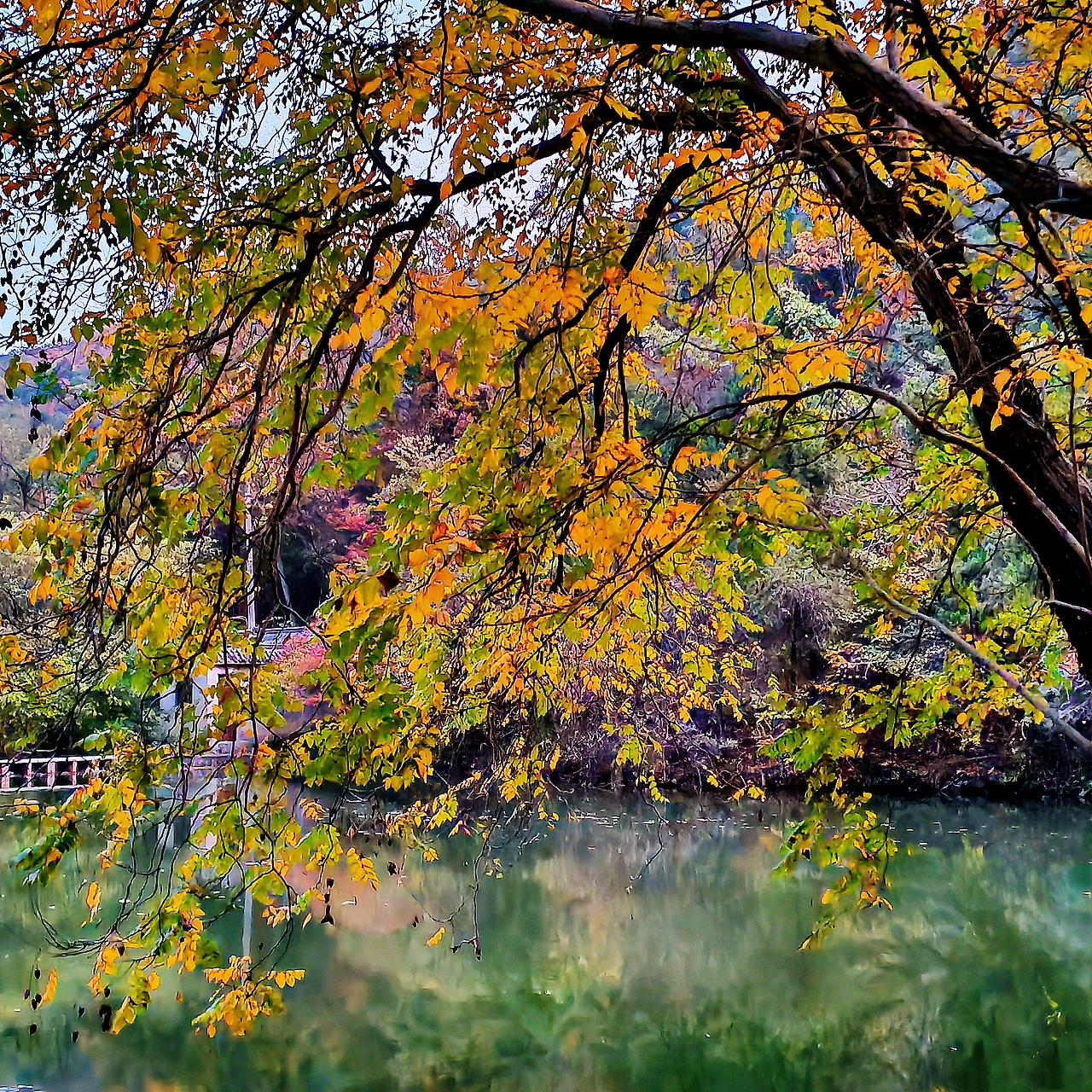 琅琊秋意正浓时（图ZMzgwODIwNTI4） - 风光摄影 - 站酷设计师透明的雨2025原创素材 - 站酷ZCOOL