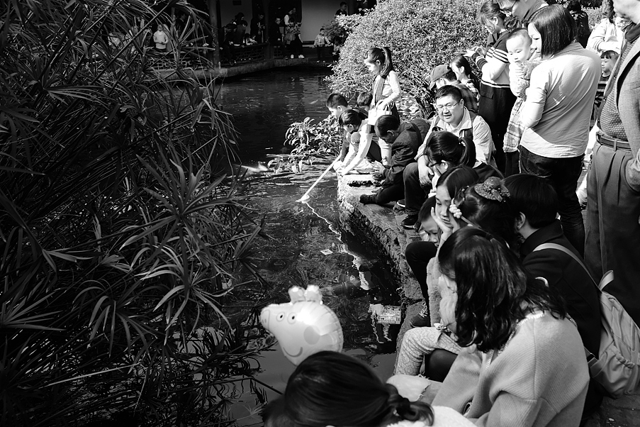 漫步成都系列-01