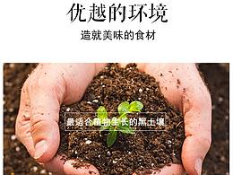 玉米