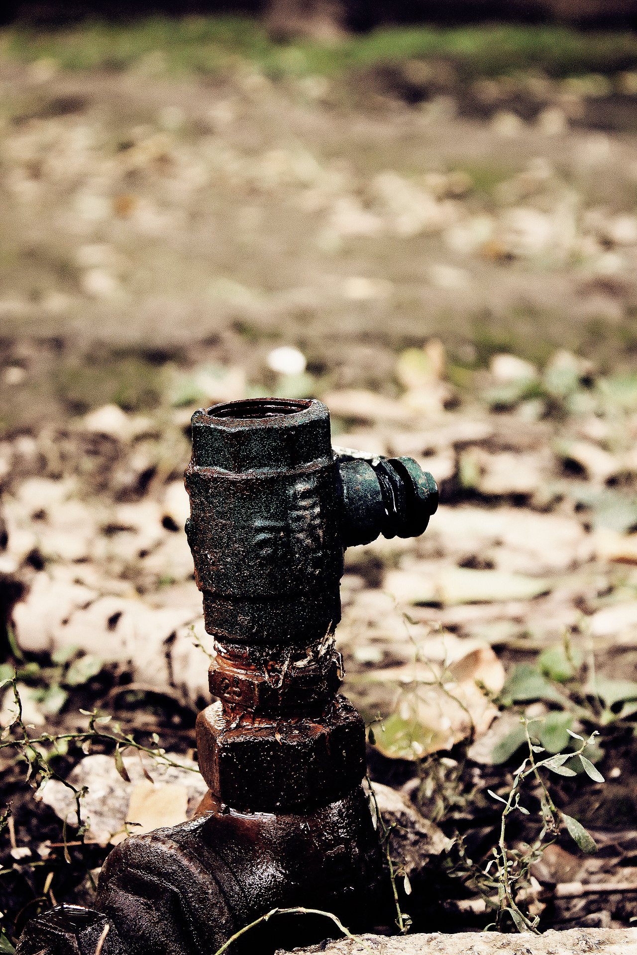 银杏大道 锁 清 秋（图ZNjE3NTI3NjQ=） - 风光摄影 - 站酷设计师Jauver原创素材 - 站酷ZCOOL