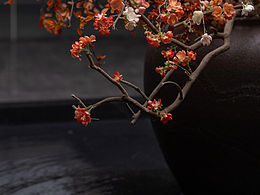 苏州｜和悦塘前