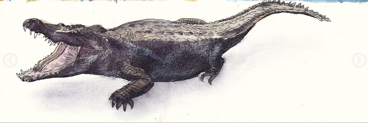 儿童科普类 教育类 上色插图（图ZMTQ0MzcwMjg4） - 儿童插画 - 站酷设计师上超工作室原创素材 - 站酷ZCOOL