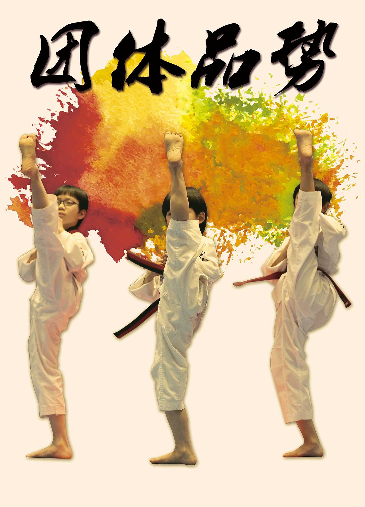 2013年全国大众跆拳道精英挑战赛海报|平面|海报|飞宇涵 - 原创作品