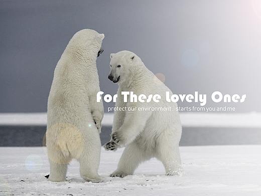 保护北极熊（个人主页-ZMzc4MTA5NDA=） - 海报 - 站酷设计师听说猴子很帅原创素材 - 站酷ZCOOL