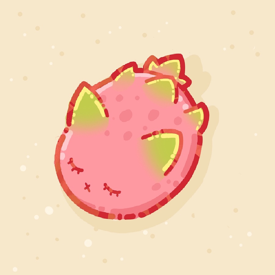 Cheya的赶海日记