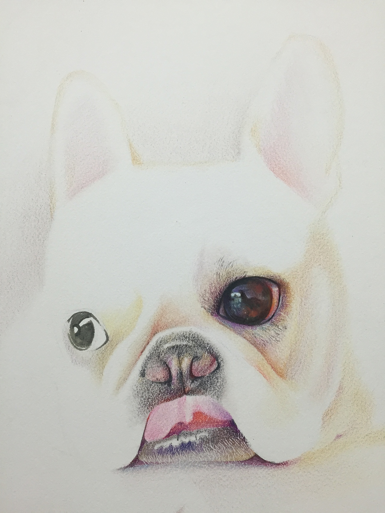 彩铅法斗（图ZMzczOTczODA=） - 绘画 - 站酷设计师木下彩铅原创素材 - 站酷ZCOOL