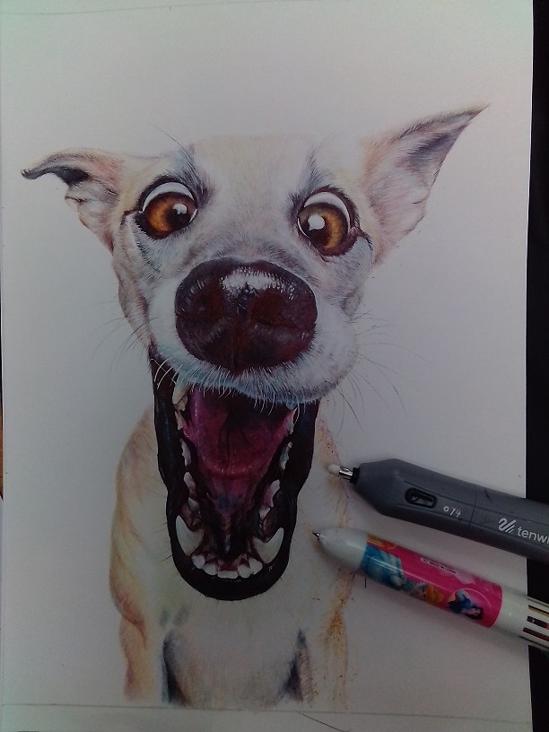 二哈小土狗系列一《夸张》