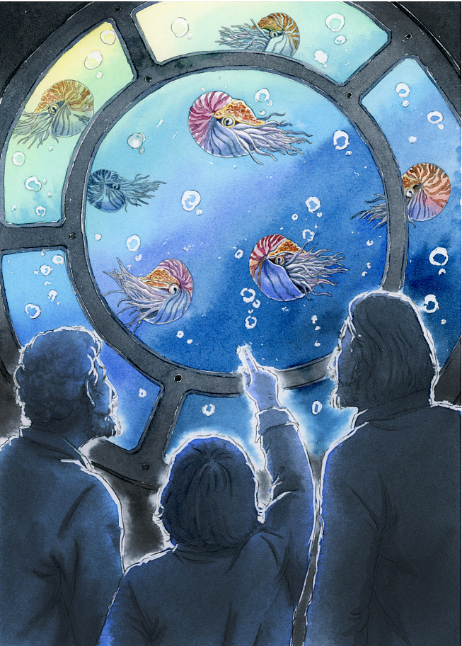 2019年画的海底两万里插图