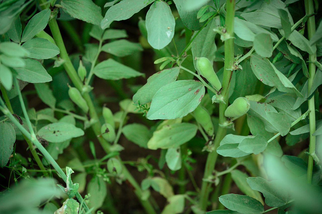 芦山彩虹谷学院(一)