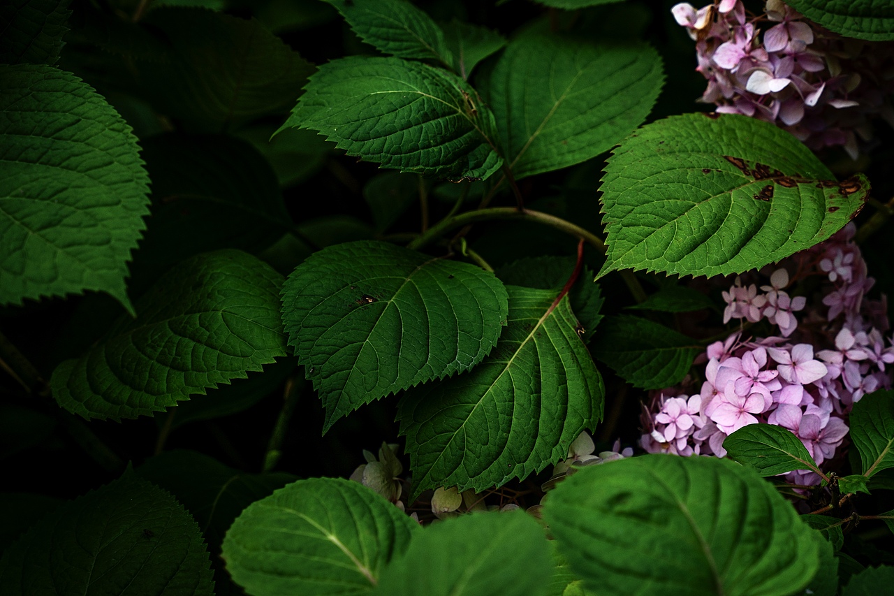 金沙湖公园一期(护眼色)