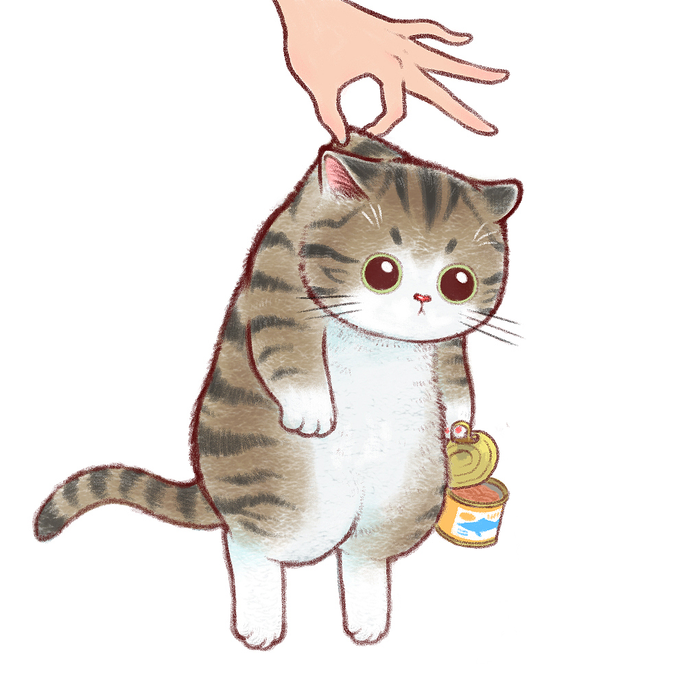 狸花猫  br> br> br> br>