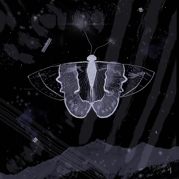 板绘｜银蝶