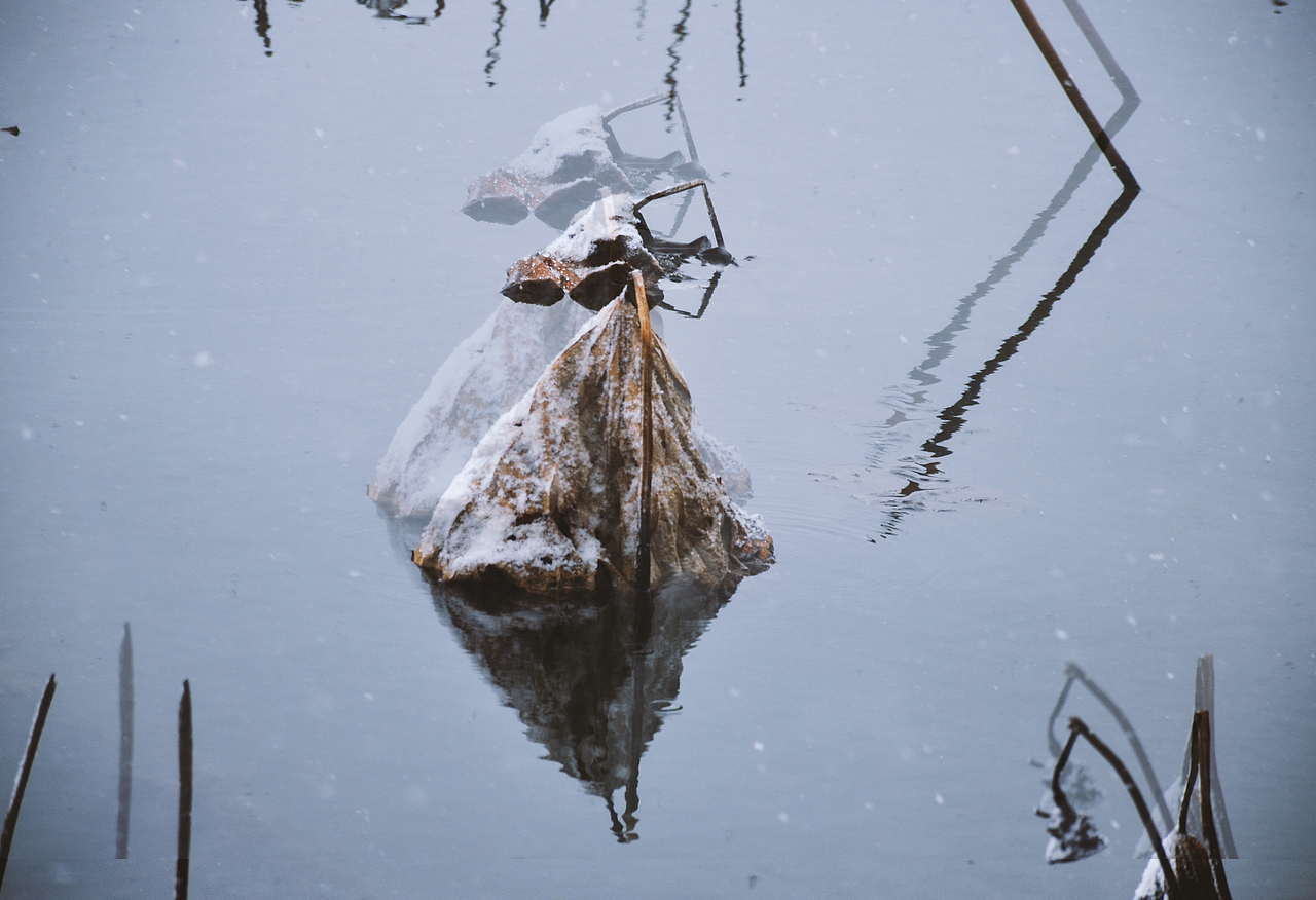 断桥残雪|摄影|风光摄影|桔子供销社_原创作品-站酷zcool