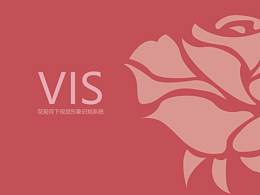 VIS