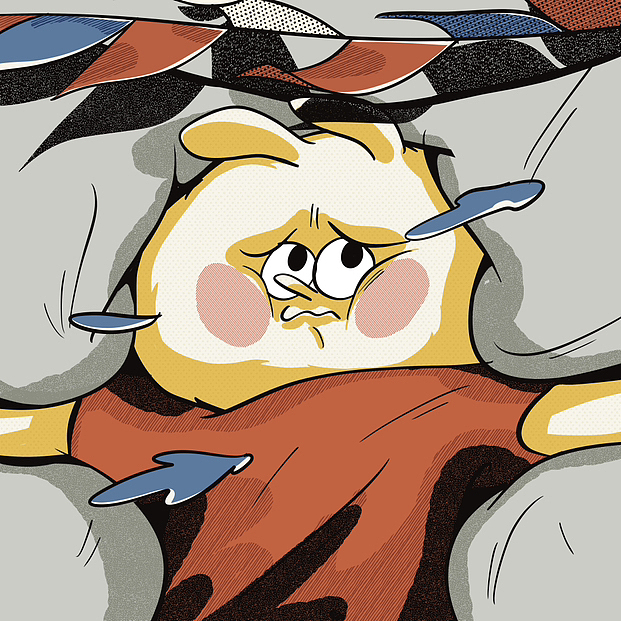 这一年Domi来到地球