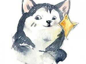 竞品分析