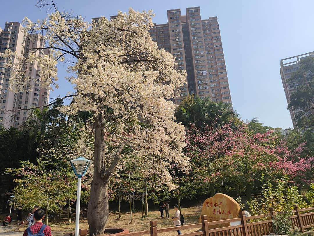 城市速写-广州-华师 画画写生（图ZMTg2NTU5MzMy） - 绘画 - 站酷设计师画画的陈一丘原创素材 - 站酷ZCOOL